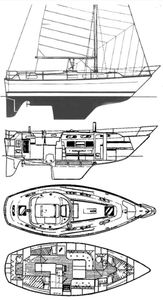 Countess 33 (Colvic) Drawing