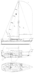 Crown 28 Drawing