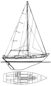 Rustler 31 Drawing