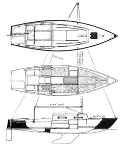 Shark 24 Drawing
