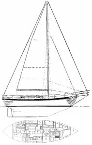Young Sun 43 Drawing