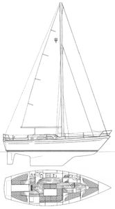 Warrior 38 Drawing