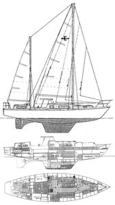 Euros 41 (Amel) Drawing