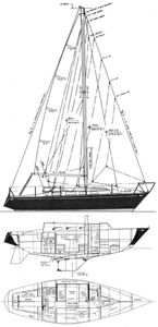 Northern 29 Drawing