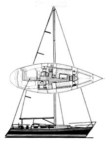 Express 35 (Killing) Drawing