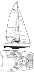 Leopard 38 Drawing