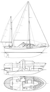Viksund 31 Goldfish MS Drawing