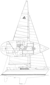 Artina 29 Drawing