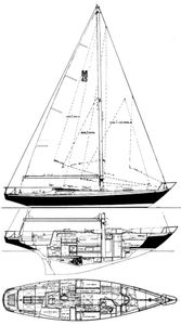 Morgan 45 Drawing