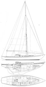 Brittany Class Drawing