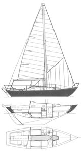 Contessa 26 Drawing