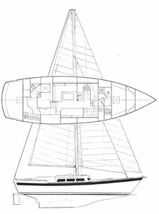 Wellington 44 Drawing