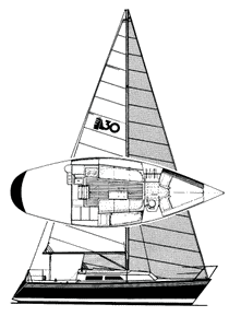 Express 30 (Killing) Drawing