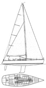 Nelson Marek 46 Drawing