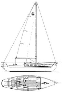 Victoria 26 (Mcvay) Drawing
