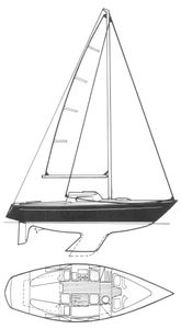Ecume DE Mer Drawing