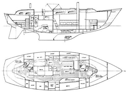 Swift 40 Drawing