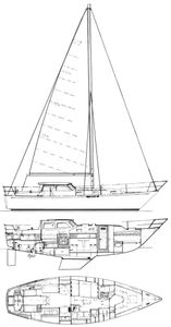 Nautilus 36 Drawing