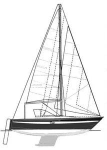 Cognac 24 Drawing