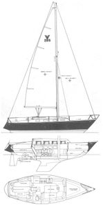 Yankee 26 Drawing