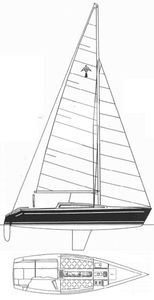 Adams 8 Drawing