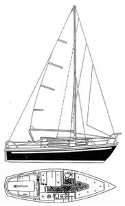 Snapdragon 24 Drawing