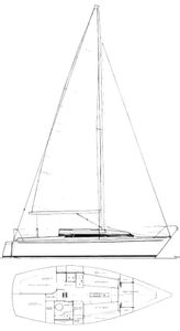 Contessa 27 Drawing