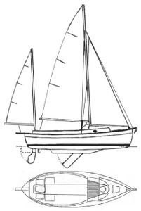Sun Seeker 23 Drawing