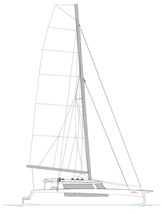 Neel 52 Drawing