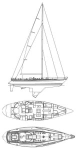 Swan 59 Drawing