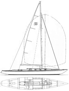 Swede 55 Drawing