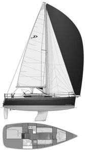 Delphia 31 Drawing