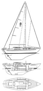 Amigo 33 Drawing