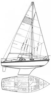 Vivacity 21 Drawing