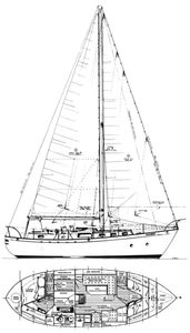 Fantasia 35 (Bingham) Drawing