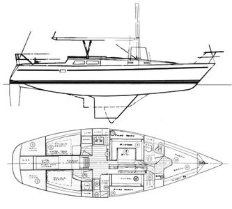 O'day 39 Drawing