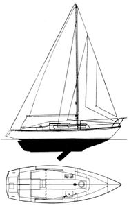 Elizabethan 23 Drawing