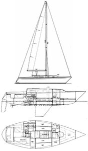 Peterson 34 Drawing