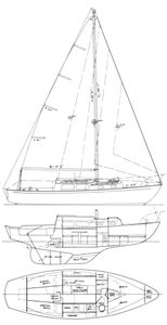 Cal 30 Drawing