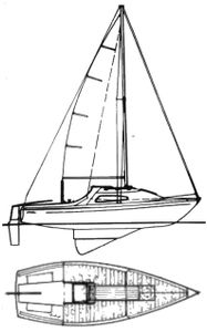Manta 19 Drawing