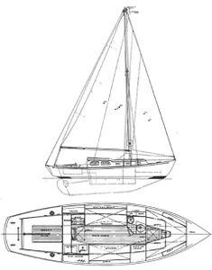 Daimyo 31 Drawing