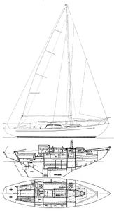Trintella IA Drawing