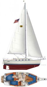 Island Packet Estero 36 Drawing