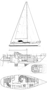 Trintella 44 A Drawing
