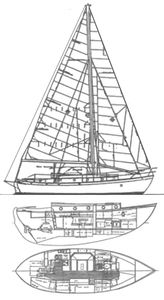 Rafiki 37 Drawing