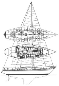 Seguin 44 Drawing