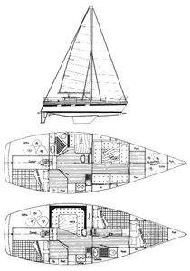 Bi-Loup 10 Drawing