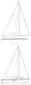 Haida 26 Drawing