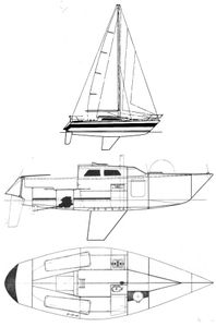 Contention 30 (Peterson) Drawing