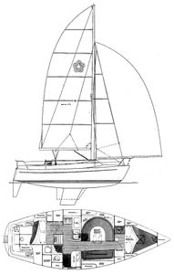 Freedom 32 Drawing